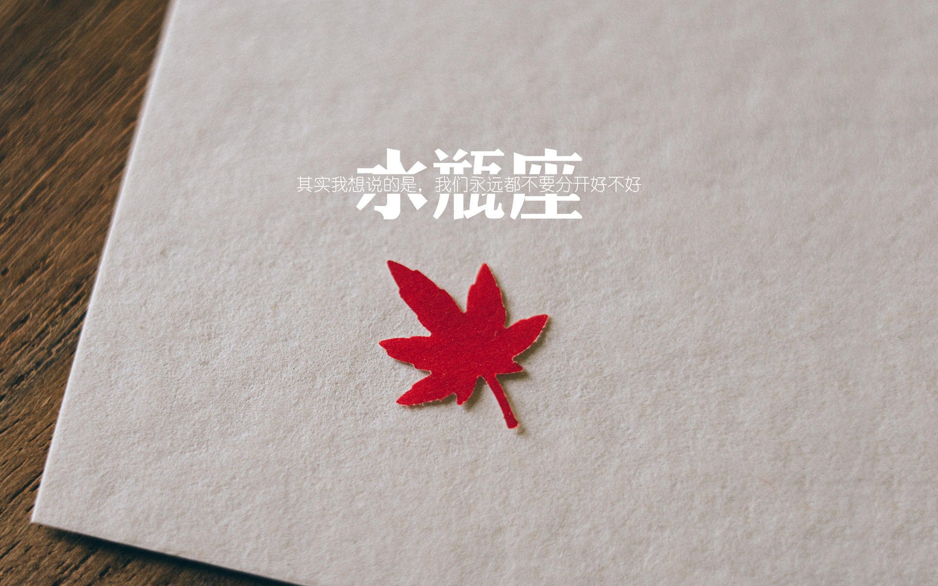 德甲:勒沃库森逆转战胜法兰克福,追击领头羊,德甲勒沃库森vs法兰克福