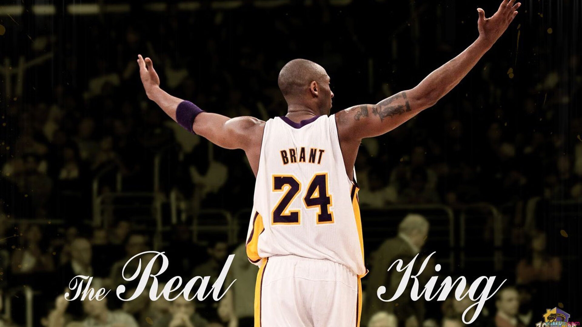 “霍斯特的稳定发挥让南非羚羊队防守如铁壁”