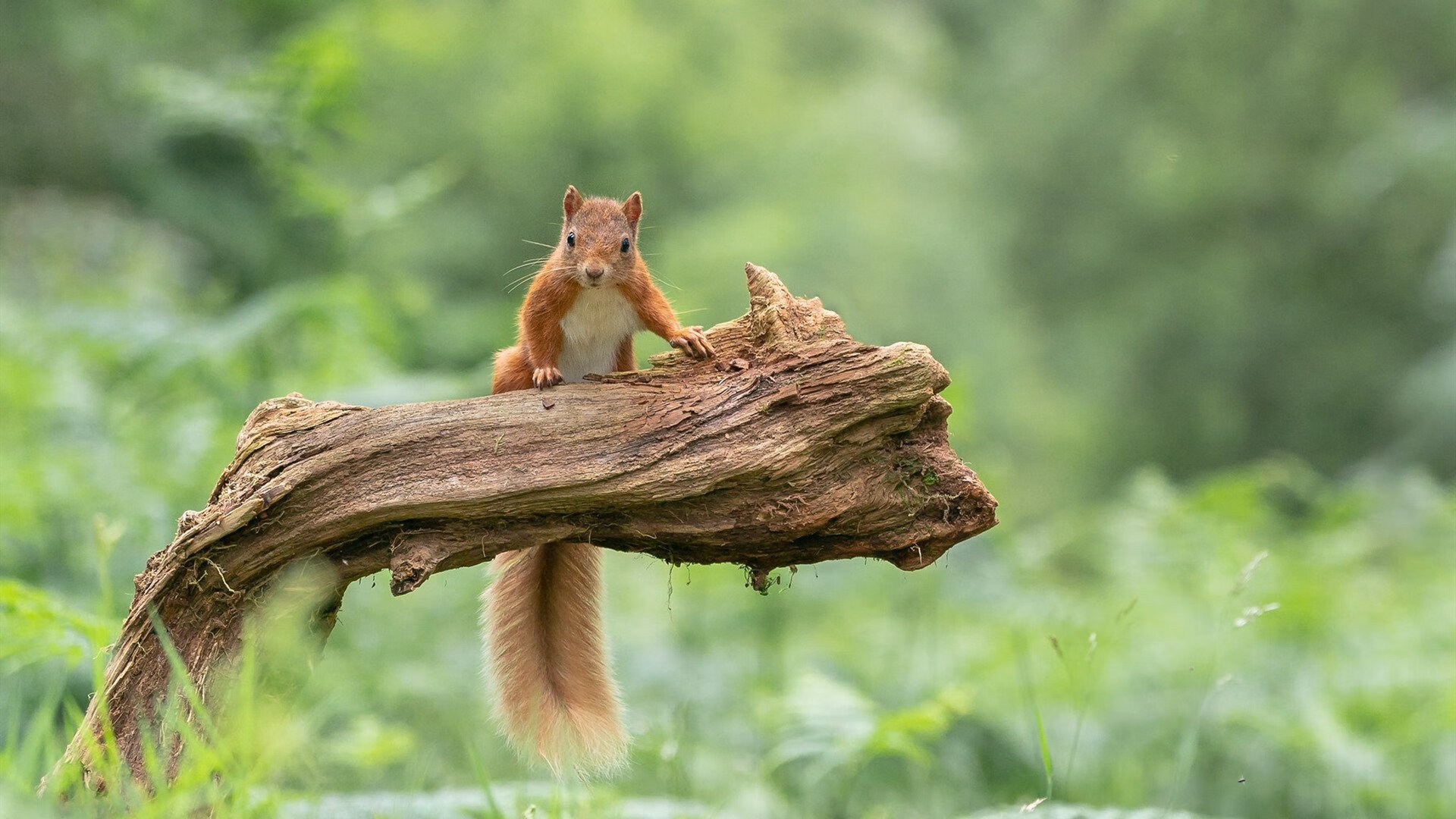 Kaiyun APP-“青训电子报名系统正式启用，提升报名效率”，青训营报名方法
