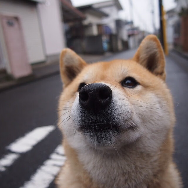 Kering-传奇教练的战术思想“秘籍”大公开，nba_传奇教练